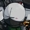 Walibite's icon