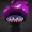 SpryCom's icon