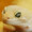 yellowgecko's icon