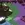Axelorate1