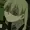 Swe4t64's icon