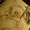 RedZedda's icon