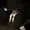 Igormaligon1's icon