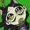 RottenVegetable's icon