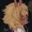 fredell4's icon