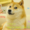 Doge3384848's icon