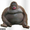 CHUCKMONKE's icon