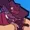 chipollo's icon