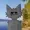 NixinityFeralRF's icon