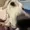 M9nkeixd's icon