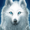 witherwolf's icon