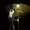 Dantido's icon
