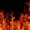 FireFlame01's icon