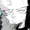 SnowCatto's icon