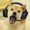 DogeGaming369's icon