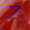 Zacheb17's icon