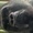 R12345dtReal's icon