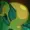 jessinabucket's icon