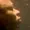 napster09's icon