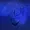 Dr-Bucc1arat1's icon