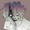 MrRandom02's icon