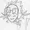 SpaceD54's icon