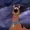 vlntnx0's icon