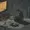 Fr0zEnPh0eNiX's icon