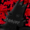 Kaynafan2567's icon