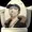 Rowled's icon
